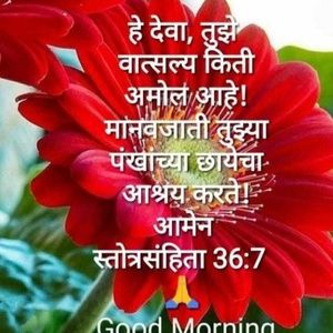 Meet your Posher, Tara